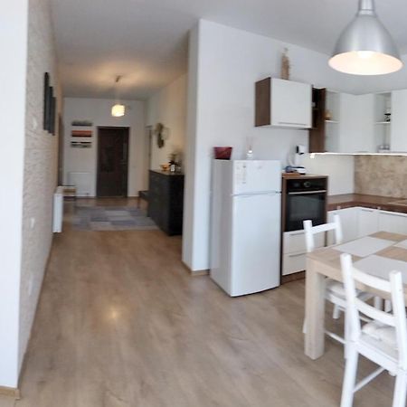 Ferienwohnung Apartament De Lux Cu Terasa Timişoara Exterior foto